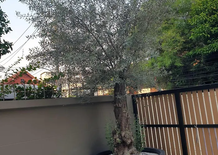 Wynora 2* Bangkok